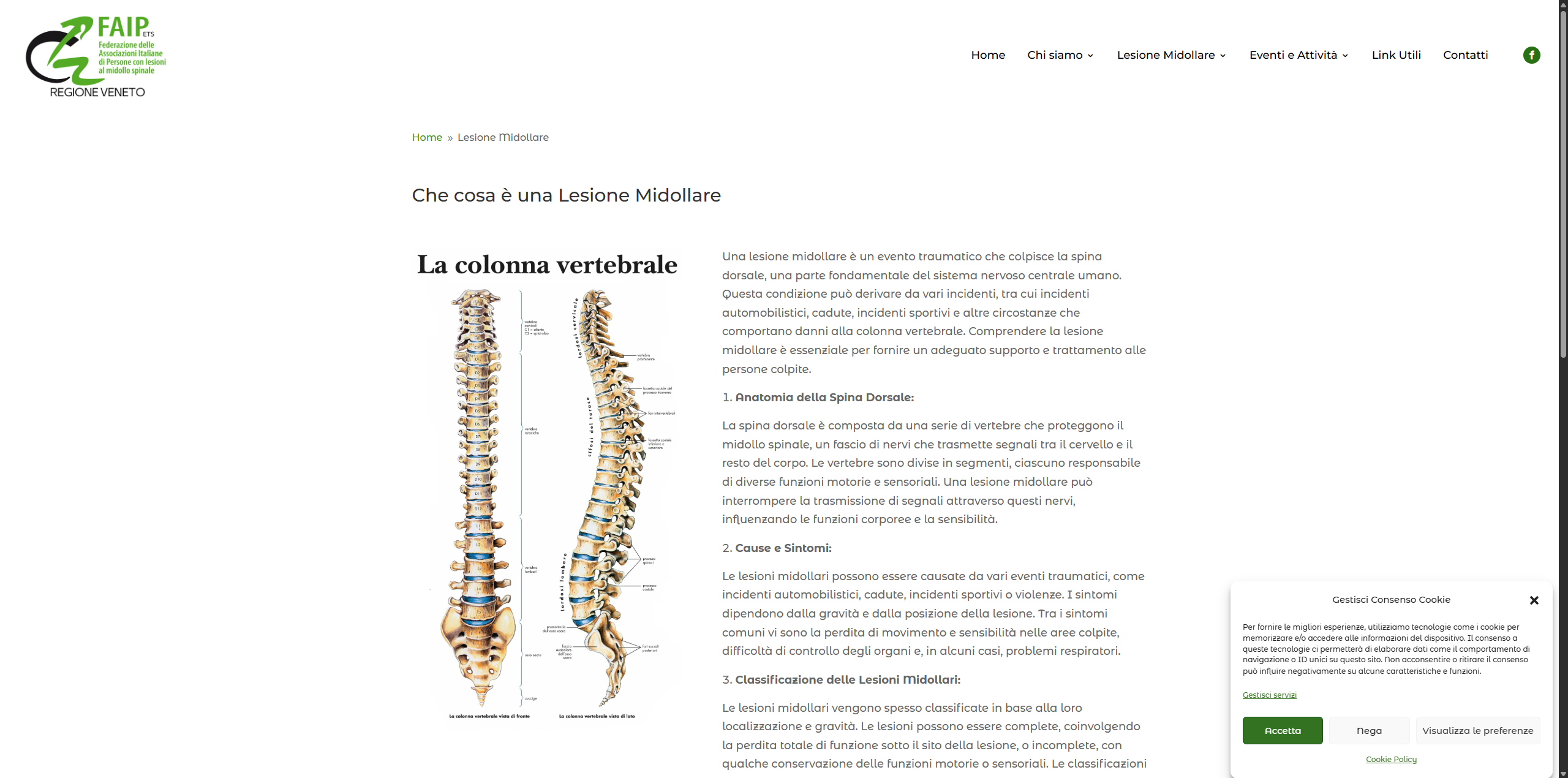 Sito Web Faip Veneto